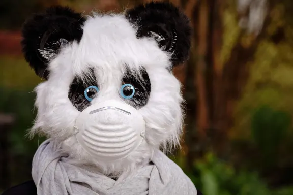 West Kasyno Wsparcie